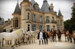 Biennale equestre - Miniature