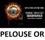 Guns n roses - 2 pelouse or - stade de france - Miniature