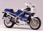 Pieces 1000 fzr genesis - Miniature