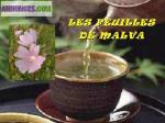 Une solution naturelle - Miniature