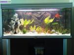 Aquarium avec meuble et pompe eheim - Miniature