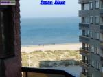 Studio « panne plaza » à la panne à 50m de la digue - Miniature