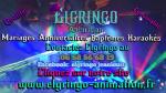 Elgringo animation pour vos évènements  - Miniature