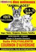 15/16 sept 2012 animaliades cournon salle polyvalente 1er... - Miniature